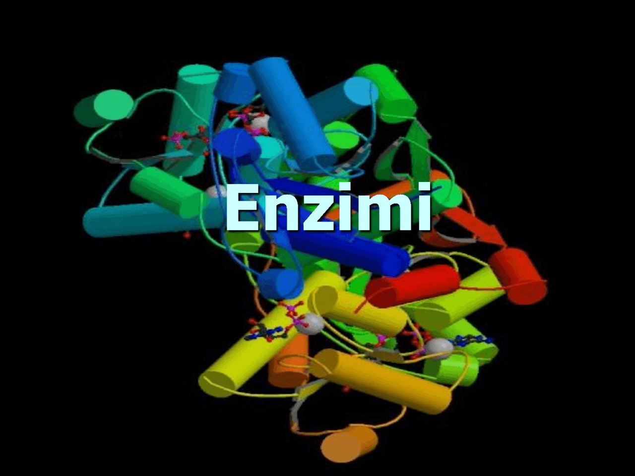 enzimi-1280x960.png
